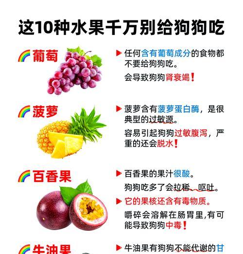 比熊长期吃狗粮和吃饭哪种更健康？各自的利弊是什么？