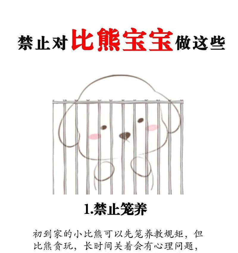 两个月的比熊是否需要笼养？如何正确饲养幼年比熊？