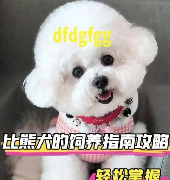 三月龄比熊吃鸡胸肉的最佳方式是什么？
