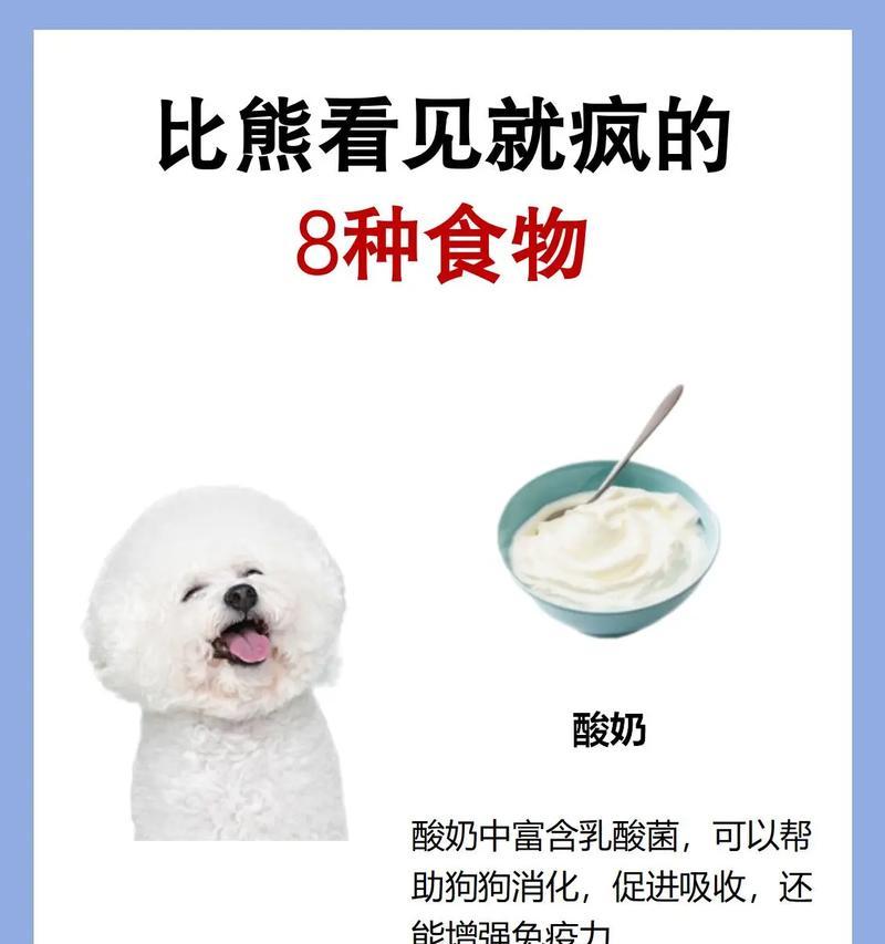 比熊2个多月可以吃哪些水果？对健康有什么影响？