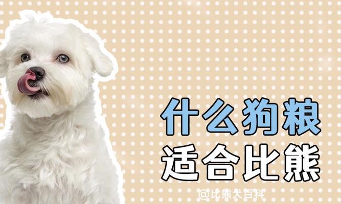 比熊多吃狗粮会怎样？正确的喂养方法是什么？