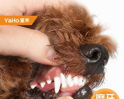 磨牙棒为什么会分层？磨牙棒分层对狗的健康有影响吗？
