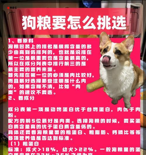 小型犬每月狗粮消耗量是多少？如何计算？