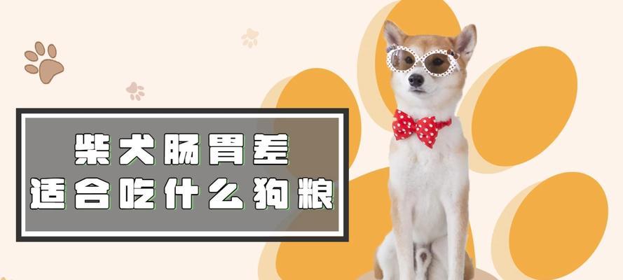 柴犬吐狗粮后是否继续喂食以及应对方法？