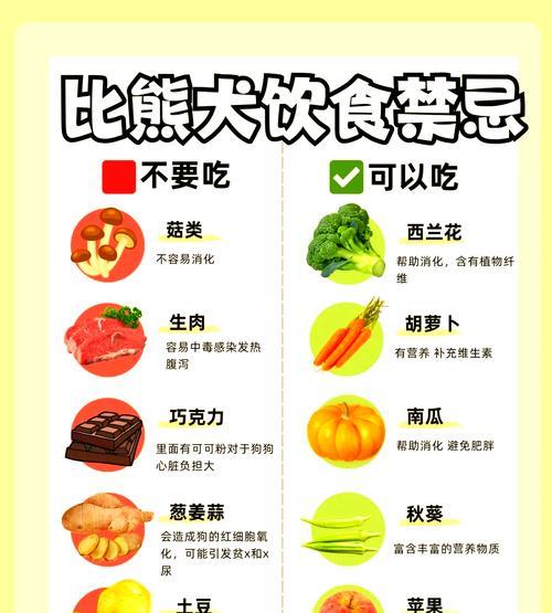 比熊犬两个月大能吃蛋黄吗？为何拒食狗粮？