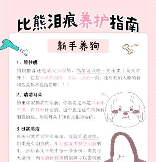 比熊幼犬适合哪种狗粮？哪种能减少泪痕？