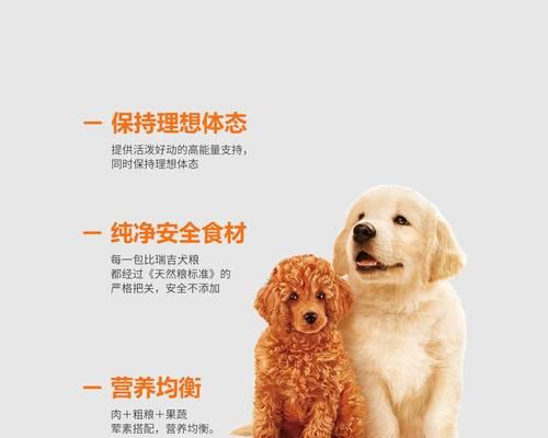 狗狗粮中玉米面粉的最佳比例是多少？
