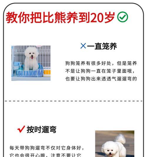 两个月比熊更适合笼养还是散养？