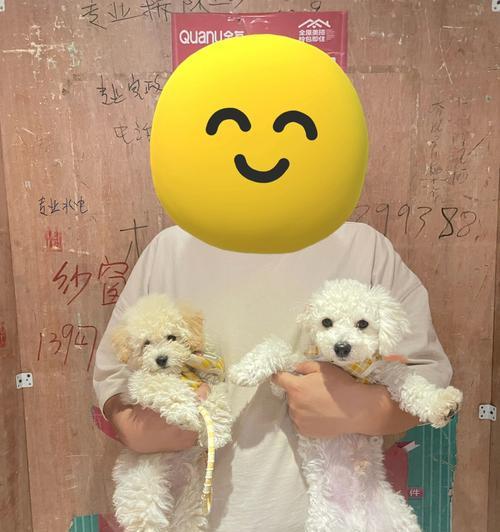 两个月比熊更适合笼养还是散养？
