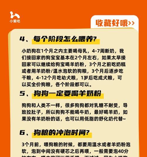 古牧幼犬每天吃多少狗粮正常呢？如何确保健康成长的食量？
