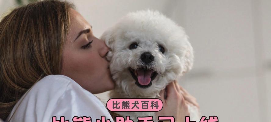 比熊可以吃多少鸭肉？吃鸭肉对它们有什么好处？