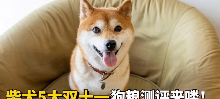 10斤柴犬一顿吃多少狗粮？如何计算合适的食量？