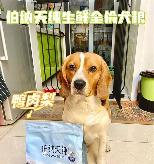 伯纳天纯适合边牧的中型犬狗粮有哪些？
