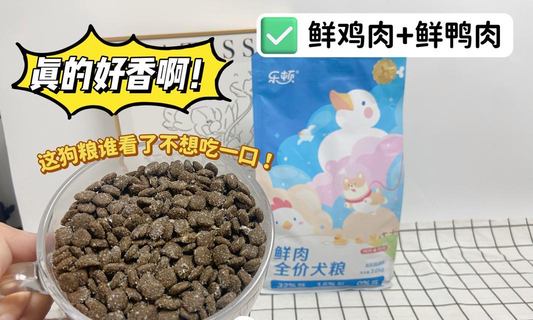 74个月比熊的狗粮摄入量应为多少？