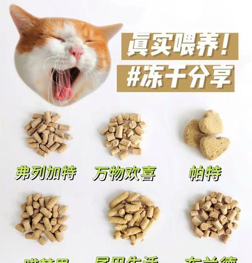 冻干猫粮的主要优点和潜在风险是什么？