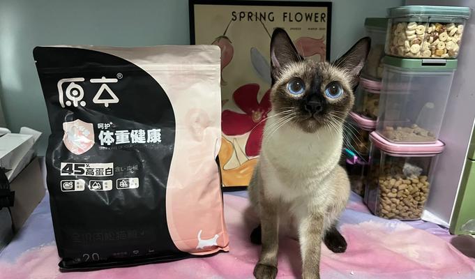 六个月暹罗猫每日猫粮摄入量是多少克？正常范围是多少？
