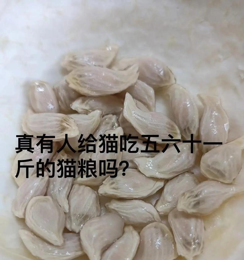 幼猫吃猫粮一次应该吃多少颗？