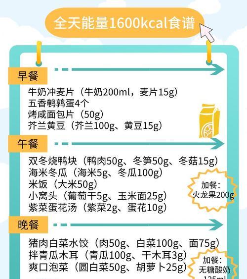 成年泰迪每天应该吃多少食物？如何合理安排饮食？