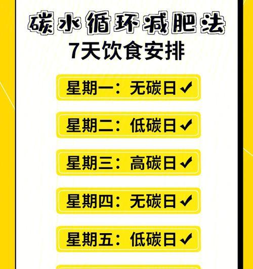 成年泰迪每天应该吃多少食物？如何合理安排饮食？