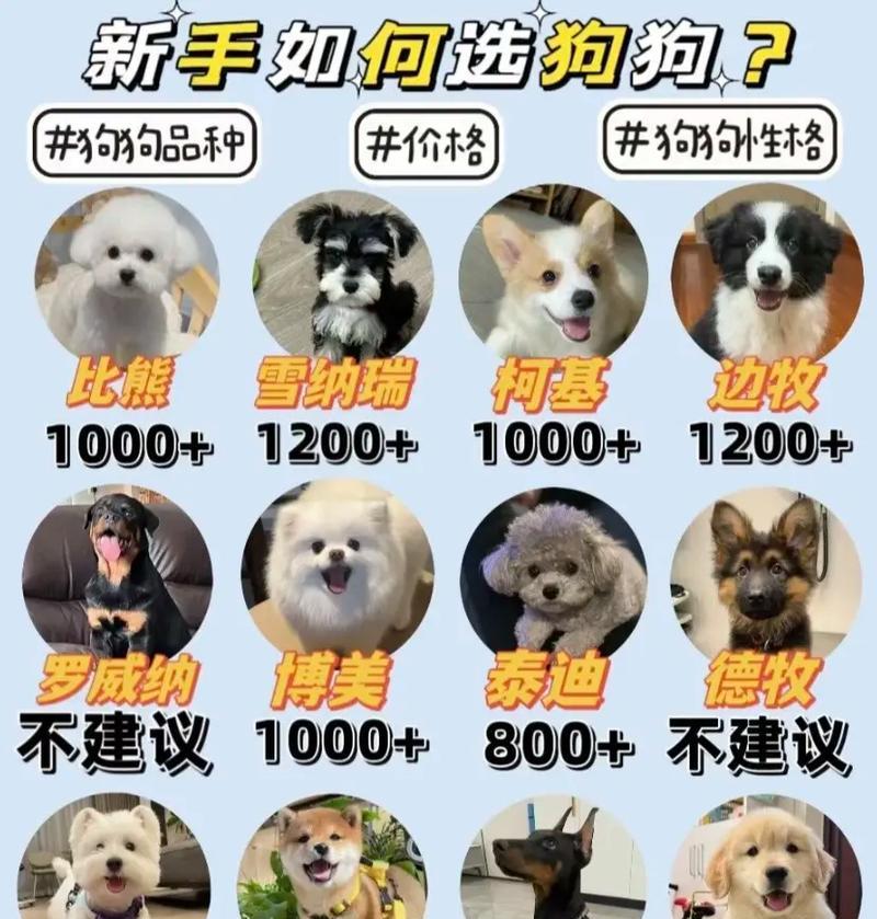 万州地区适合养哪些大型犬？