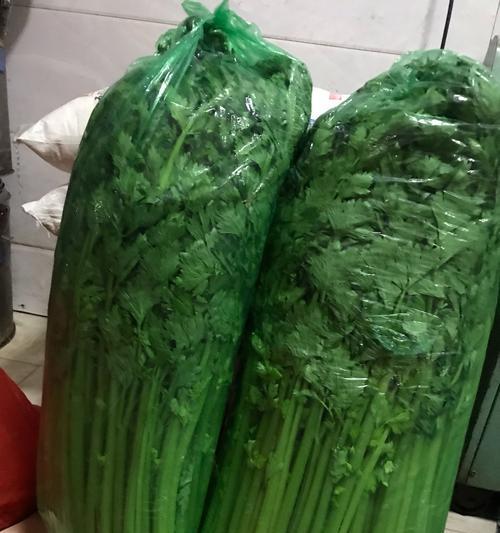 狗狗吃猫粮导致拉绿色便便的原因是什么？如何解决？