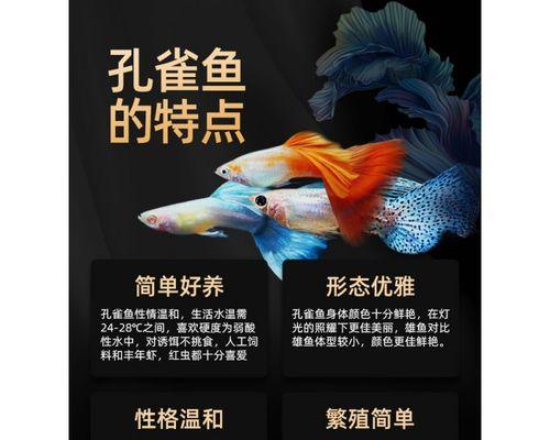玛丽小鱼苗的数量为什么越来越少？如何解决？