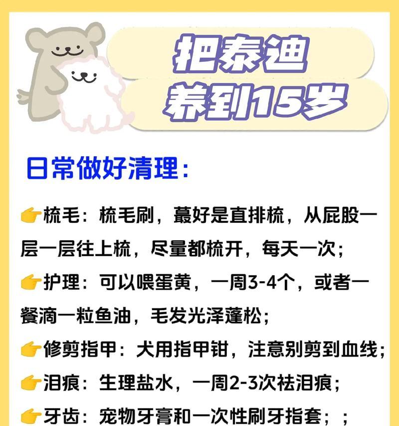 五斤重的泰迪每天应摄入多少食物？喂食指南是什么？
