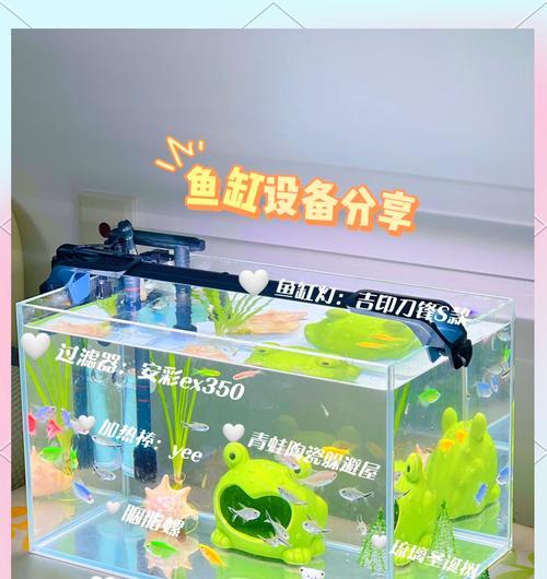 养虎鱼苗用什么鱼缸好？哪种鱼缸适合虎鱼苗？