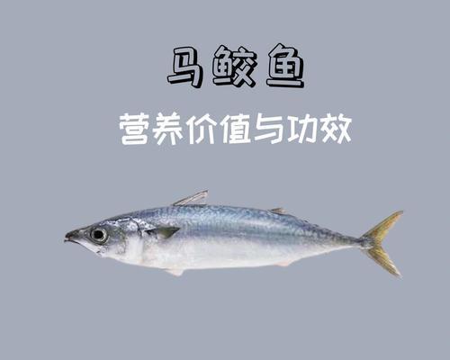 鲟鱼苗的营养食谱是什么？如何选择合适的鱼食？