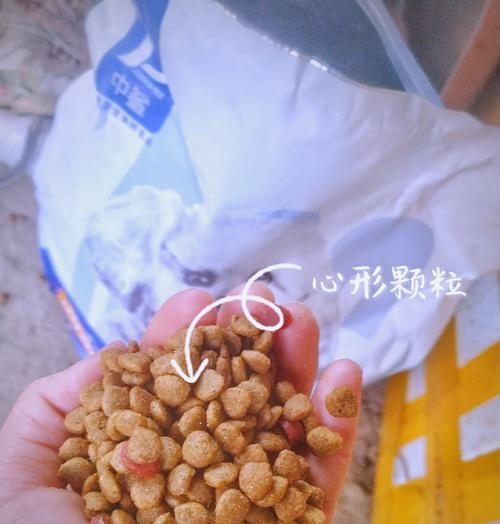 狗狗吃鱼肉粮过敏怎么办？如何选择合适的狗粮？