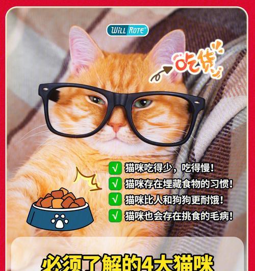 泰迪狗7个月大时的食量应该是多少？喂食频率和量如何掌握？
