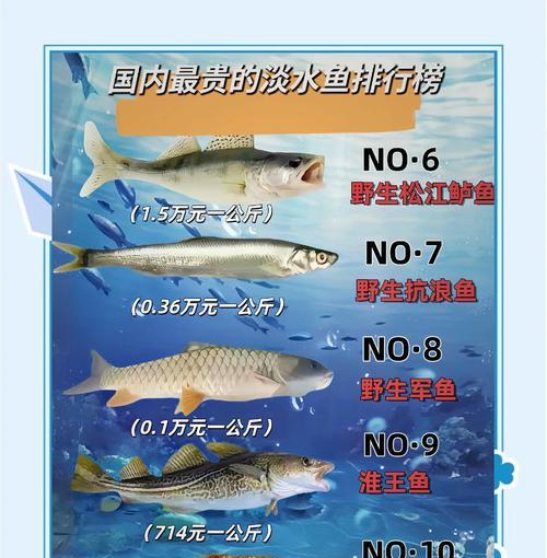 淡水鱼苗1元一条贵吗？