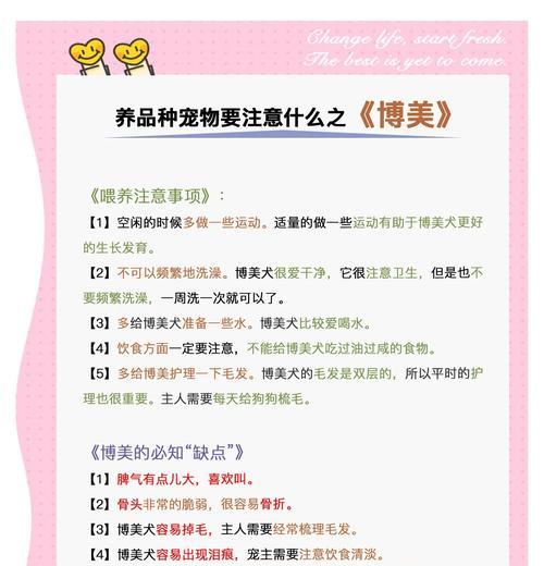 小型犬的健康饲养有哪些要点？如何制定饲养计划？