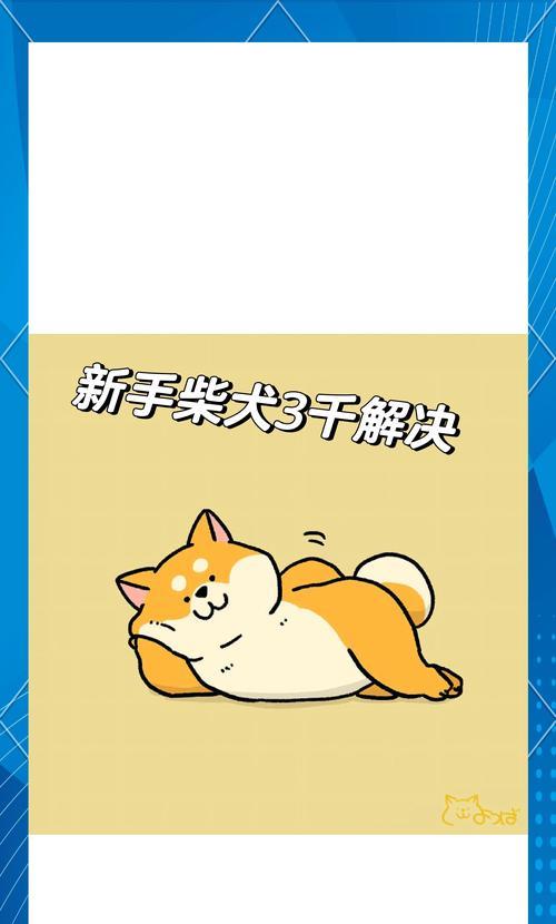 柴犬四个月大应该吃多少食物？如何制定合适的饮食计划？