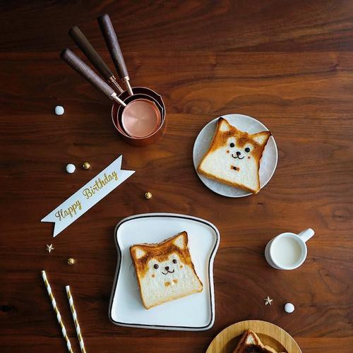 柴犬四个月大应该吃多少食物？如何制定合适的饮食计划？