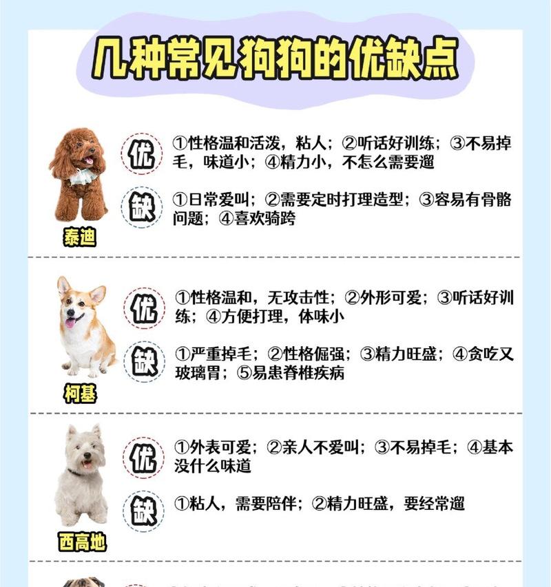泰迪的适宜睡眠温度是多少？如何为泰迪创造舒适的睡眠环境？