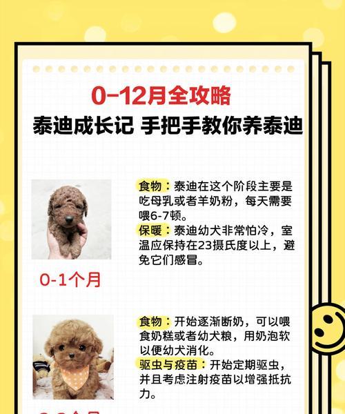 大泰迪不断尾会影响成长吗？价格会因此有变化吗？