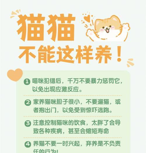 2岁猫咪拒食猫粮应如何处理？