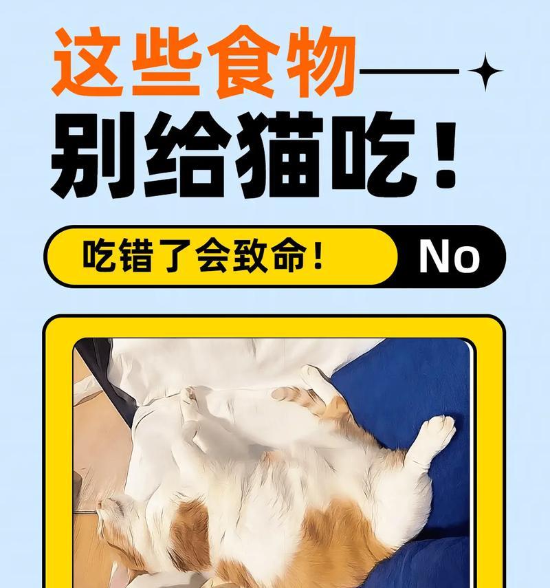 长期不食猫粮只吃食物的后果是什么？