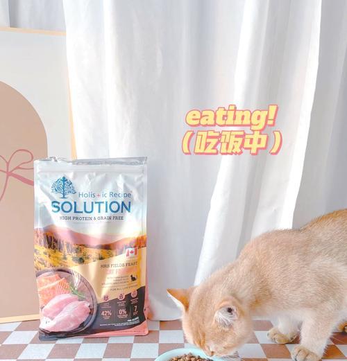 三尾猫丢失后如何找到主人？猫粮能帮助定位吗？