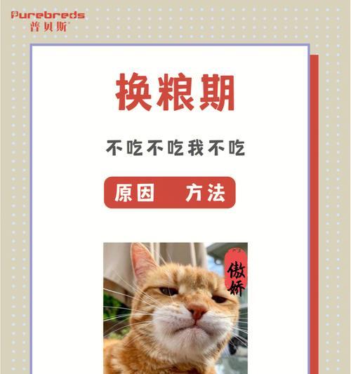 猫咪突然不爱吃猫粮原因何在？如何恢复食欲？