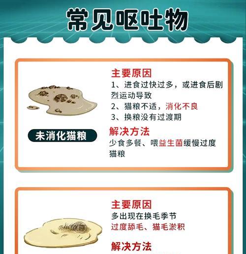 猫咪突然不爱吃猫粮原因何在？如何恢复食欲？