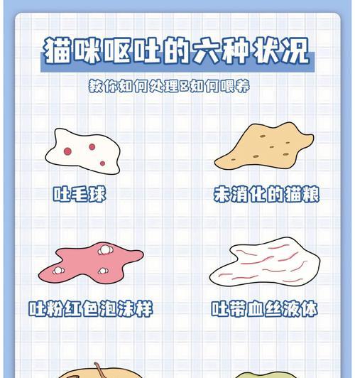 猫咪吃了含猫草的猫粮为什么会呕吐？呕吐后应该怎么办？