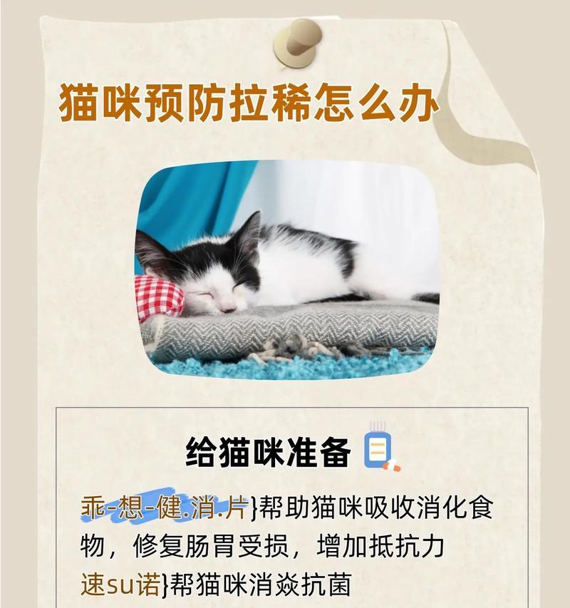猫喂湿粮蹿稀怎么办吃什么药？湿粮导致的蹿稀如何处理？