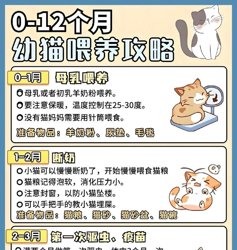 如何正确喂养幼犬和猫咪的猫粮？