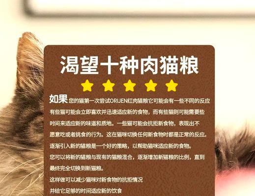 如何让狐朦顺利过渡到新猫粮？过渡猫粮的正确方法是什么？