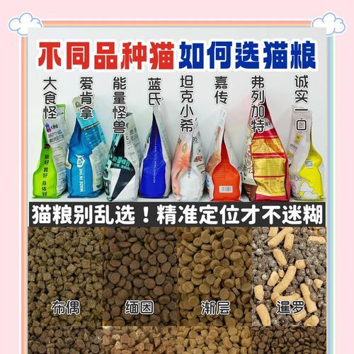 如何辨别平价猫粮的质量？图解教你选择好猫粮。