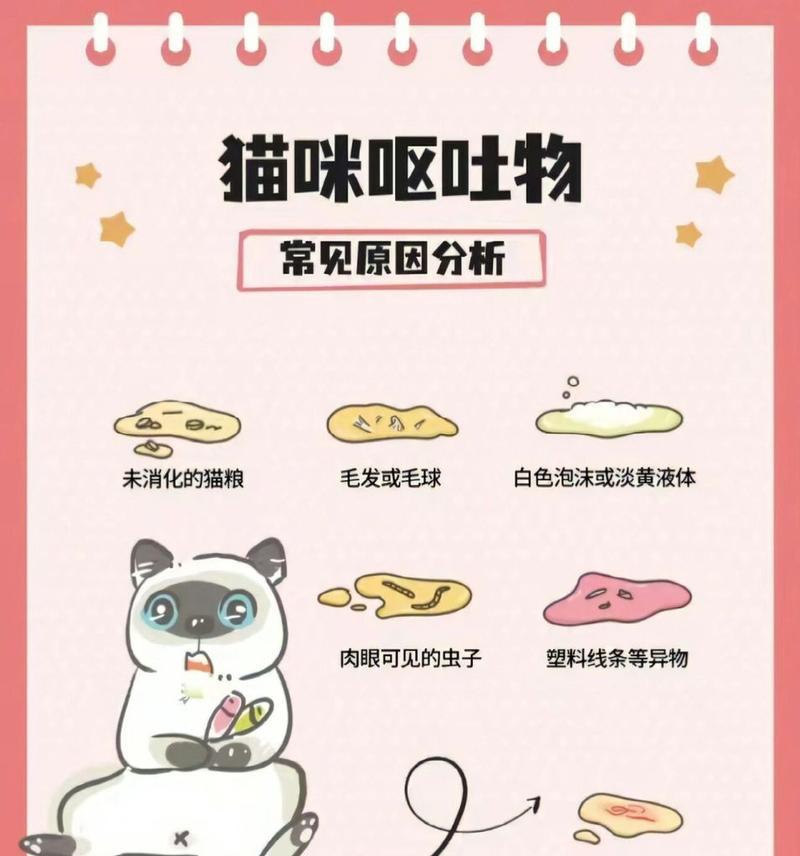 猫吐了一颗颗的猫粮怎么办？可能的原因和解决方法是什么？