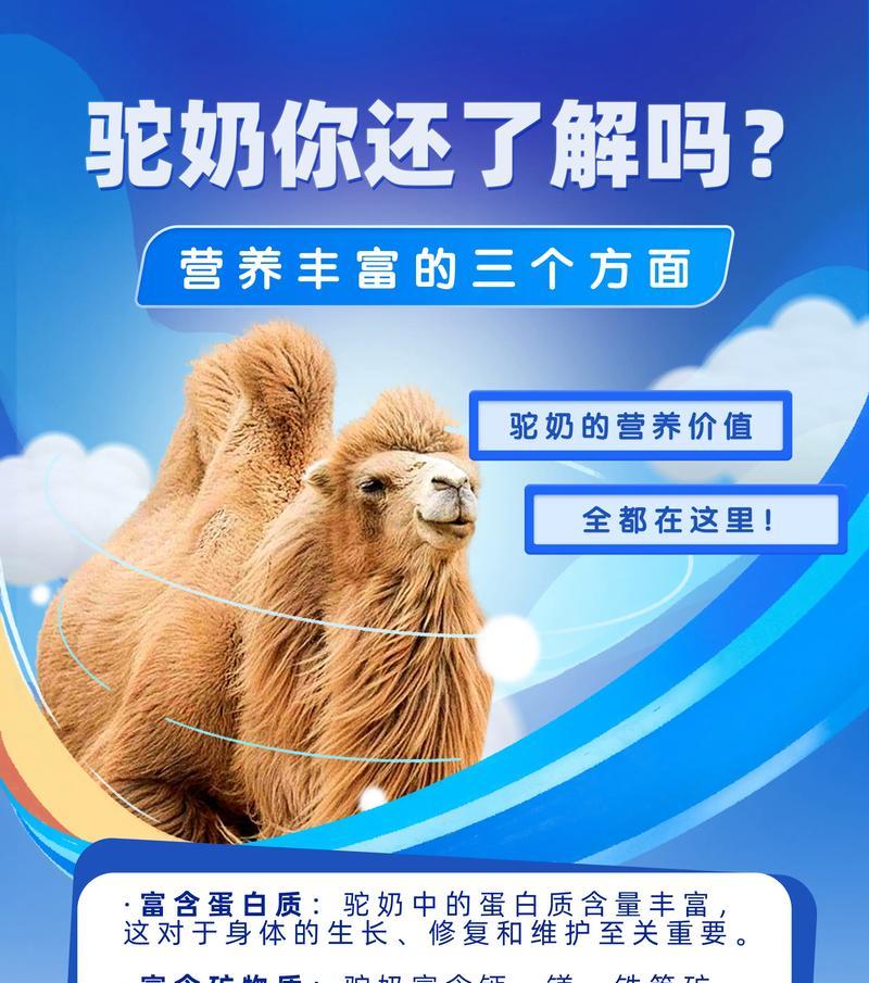 什么羊驼奶好喝又营养？羊驼奶的营养价值有哪些？