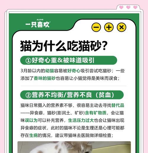 砂糖是猫粮吗怎么吃的啊？砂糖对猫的健康影响是什么？